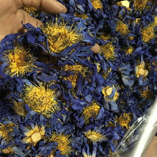 25-50 Grams dried Blue Lotus flower